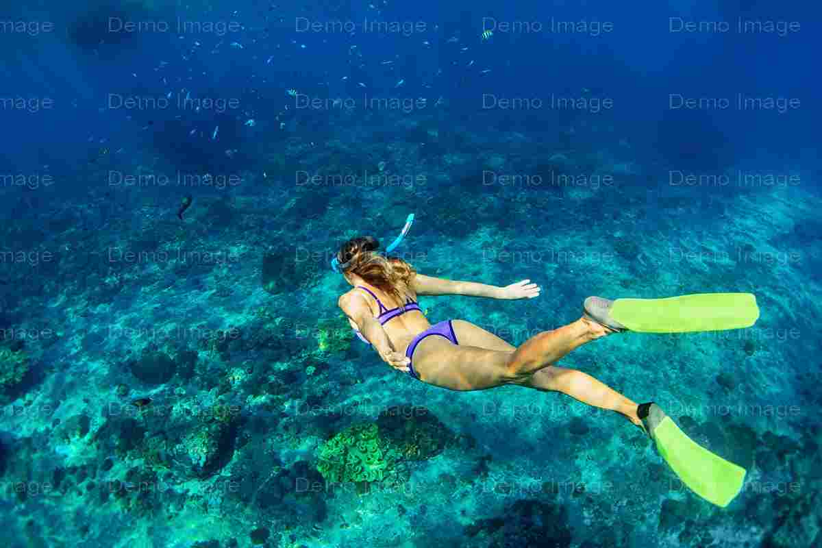 shutterstock_682950964-min
